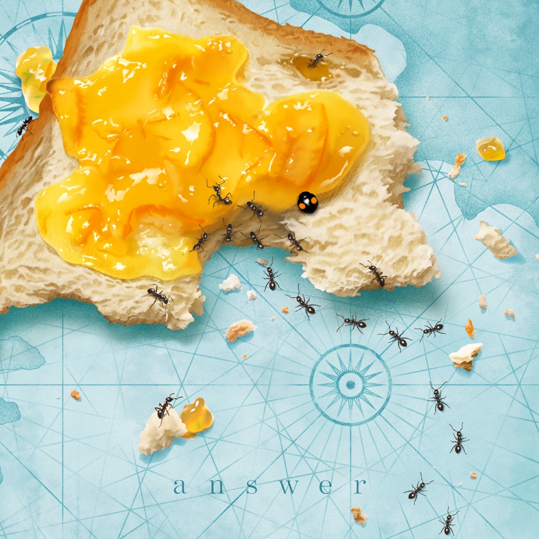 楽天ミュージック | おいしくるメロンパン 『夕立と魚』