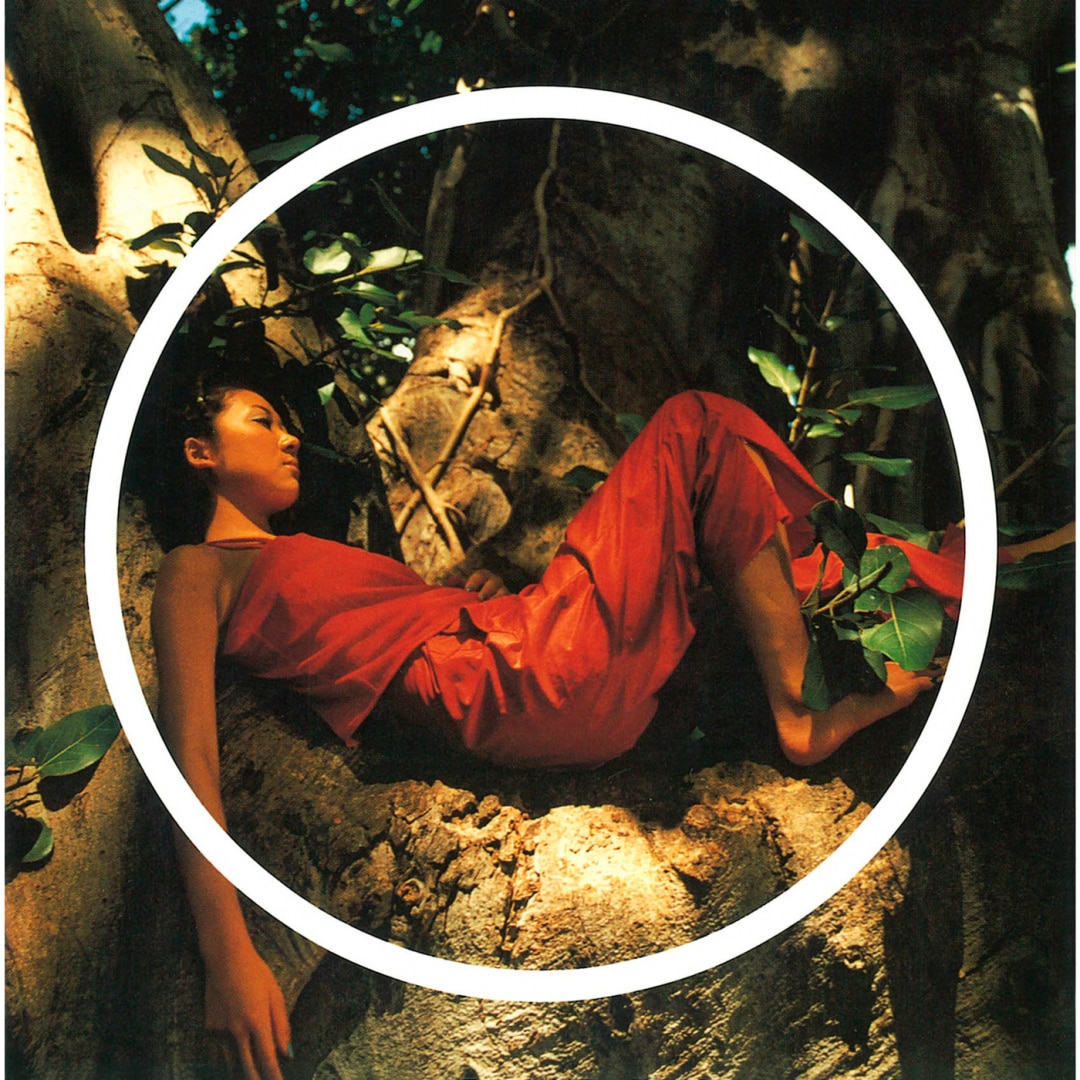 MISIA/平成武道館 LIFE IS GOING ON AND ON〈2枚組〉 MISIA 平成武道館 LIFE IS GOING ON AND ON | Lemino(レミノ) - 映画