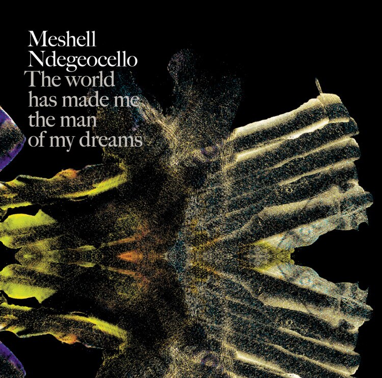 Me'Shell Ndegeocello Dred Loc 激レア プロモ 楽天ミュージック | ミシェル・ンデゲオチェロ