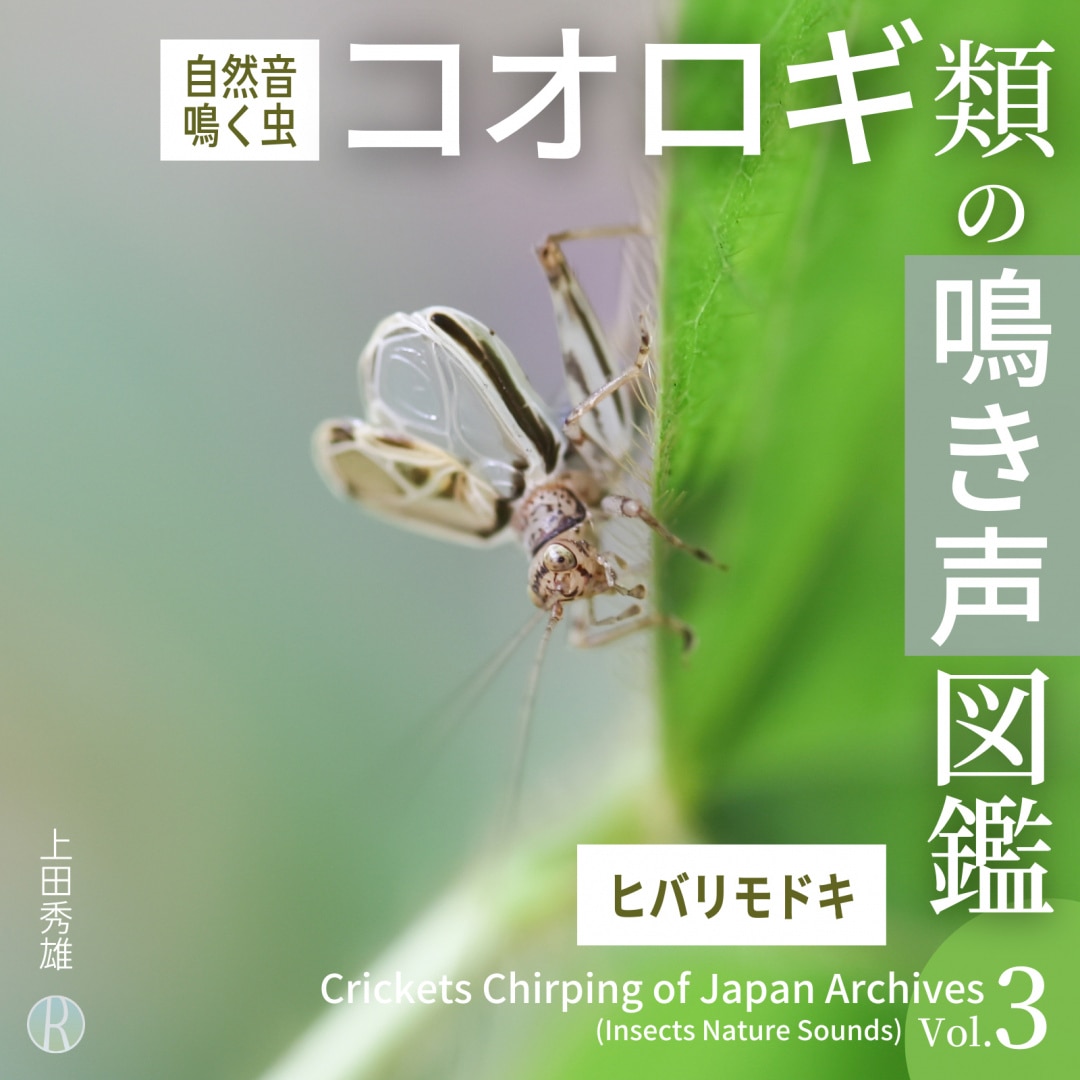 楽天ミュージック | 上田秀雄 『マツムシの鳴き声 「秋に鳴く虫・松虫