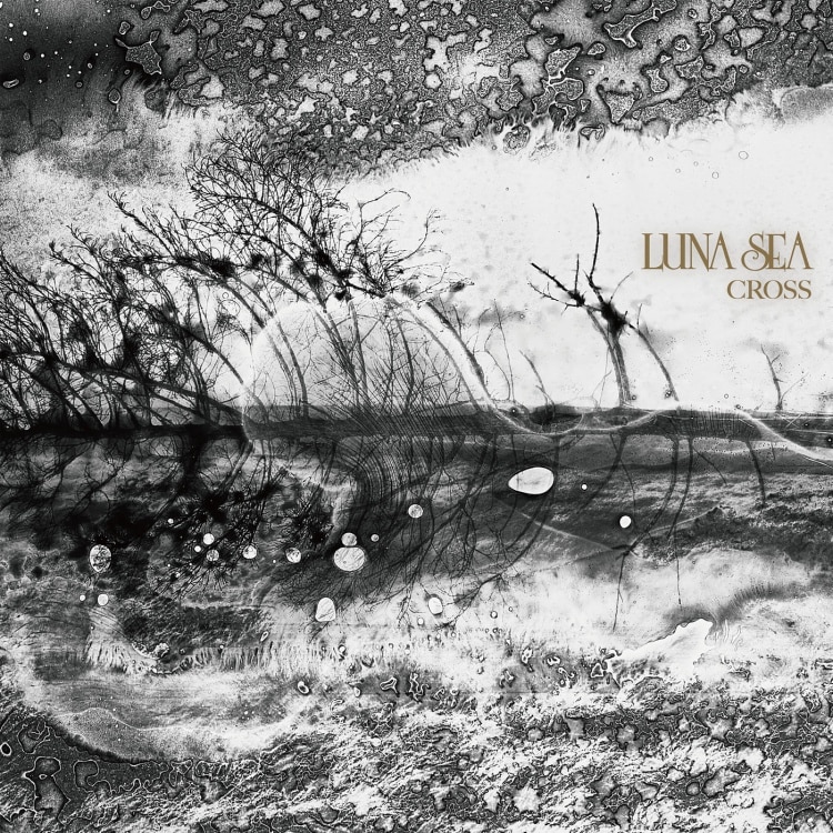 楽天ミュージック | プレイリスト - LUNA SEA【LUNA SEA 30th