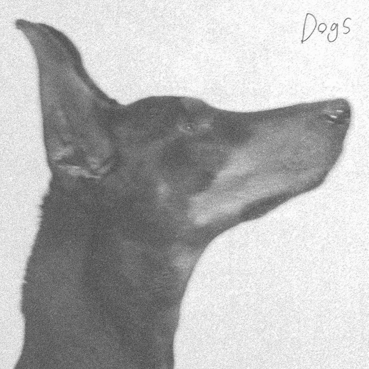 楽天ミュージック | 羊文学 『Dogs』