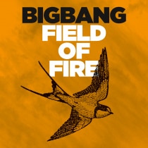 ミュージック 2015 BIGBANG WORLD TOUR [MADE] IN SEOUL 2015 BIGBANG WORLD TOUR [MADE] IN SEOUL - Album by BIGBANG