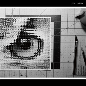 楽天ミュージック | サカナクション 『怪獣』