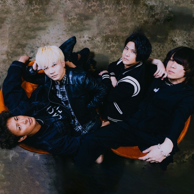 風俗猫屋本舗　アルバム　感覚ピエロ e29f.s1.jpg