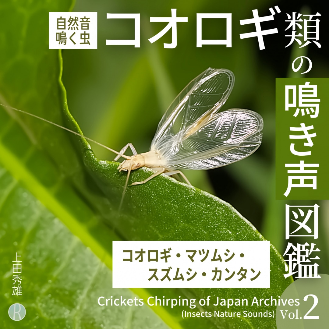 楽天ミュージック | 上田秀雄 『マツムシの鳴き声 「秋に鳴く虫・松虫