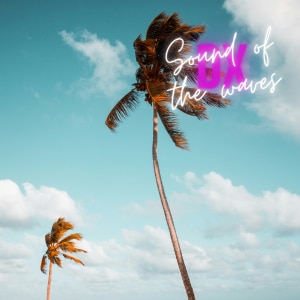 楽天ミュージック | 波の音DX